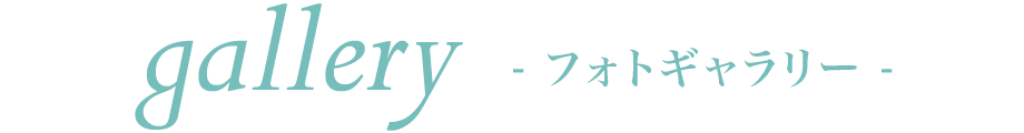 フォトギャラリー